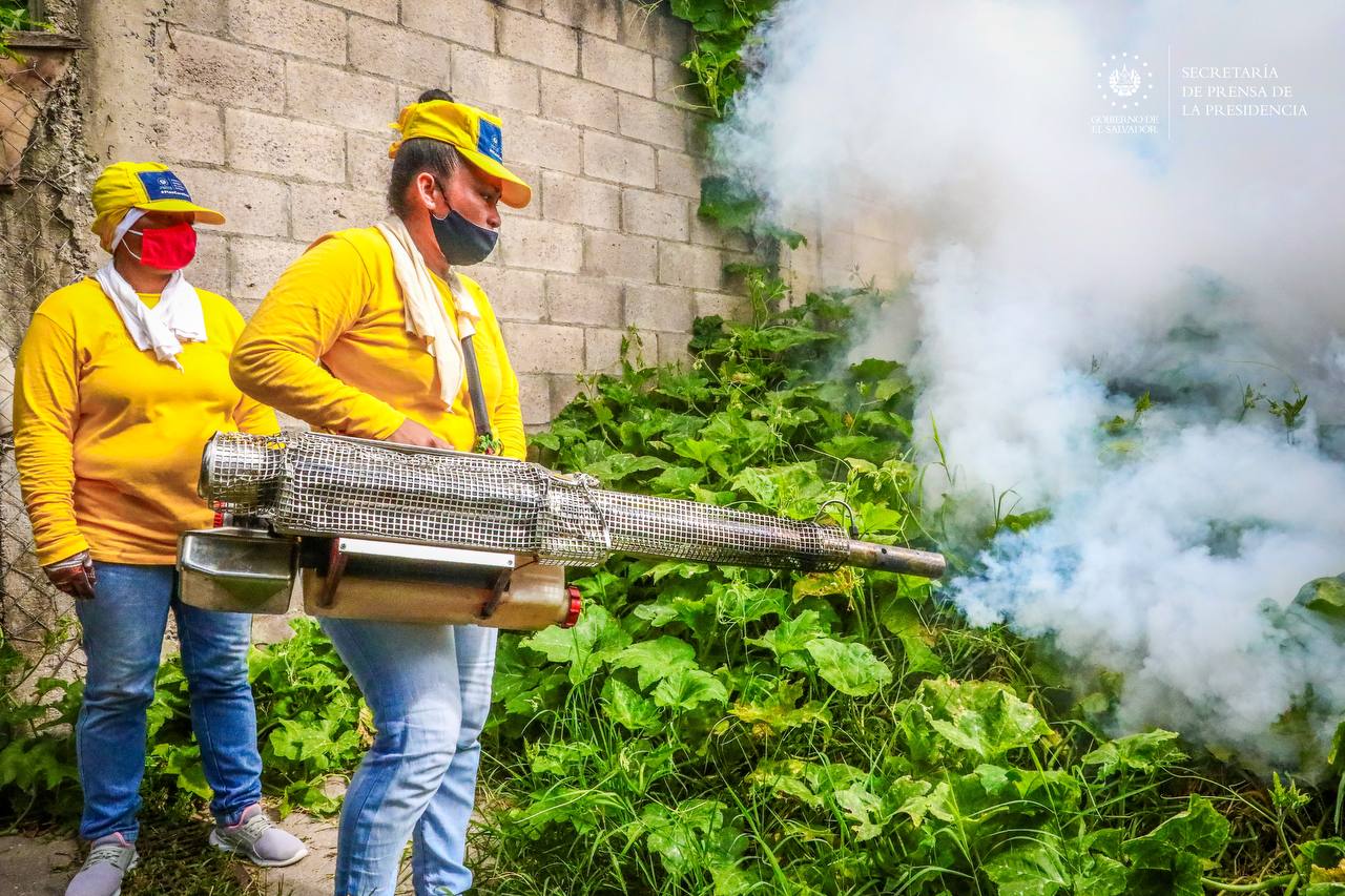 error pulgada Recogiendo hojas Reos apoyan en las campañas de fumigación del Gobierno para evitar la  proliferación de zancudos - Presidencia de la República de El Salvador